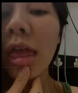 小乳猪崽